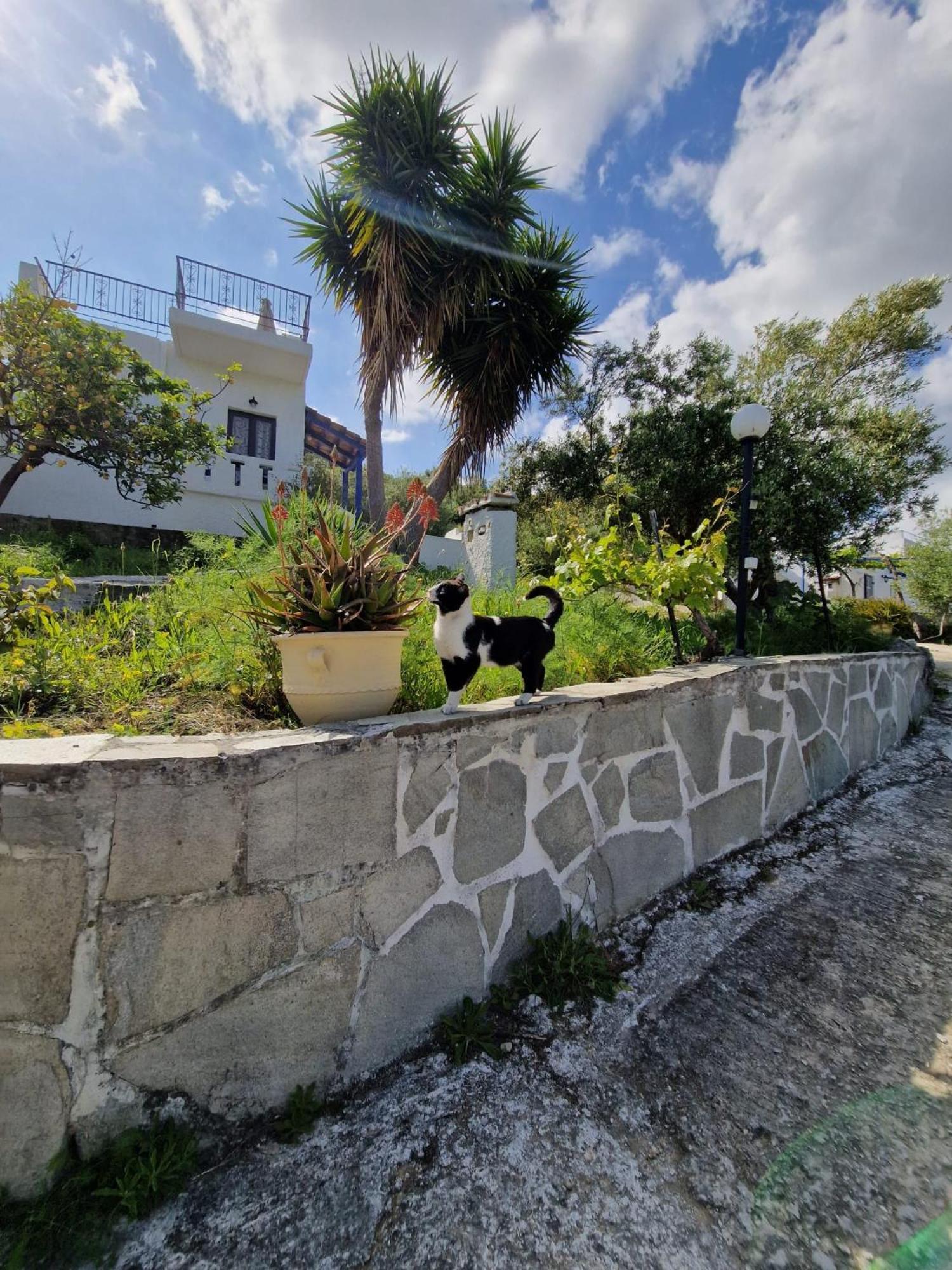 Stefanos Garden Apartment Armenoi  Exterior photo