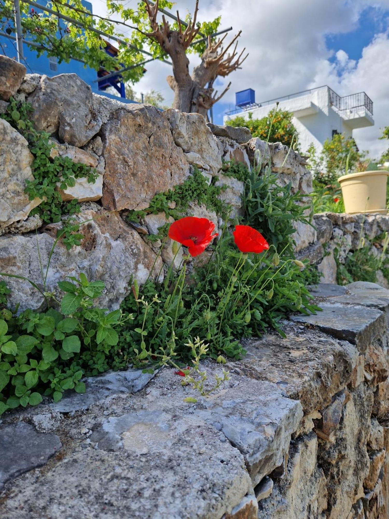 Stefanos Garden Apartment Armenoi  Exterior photo