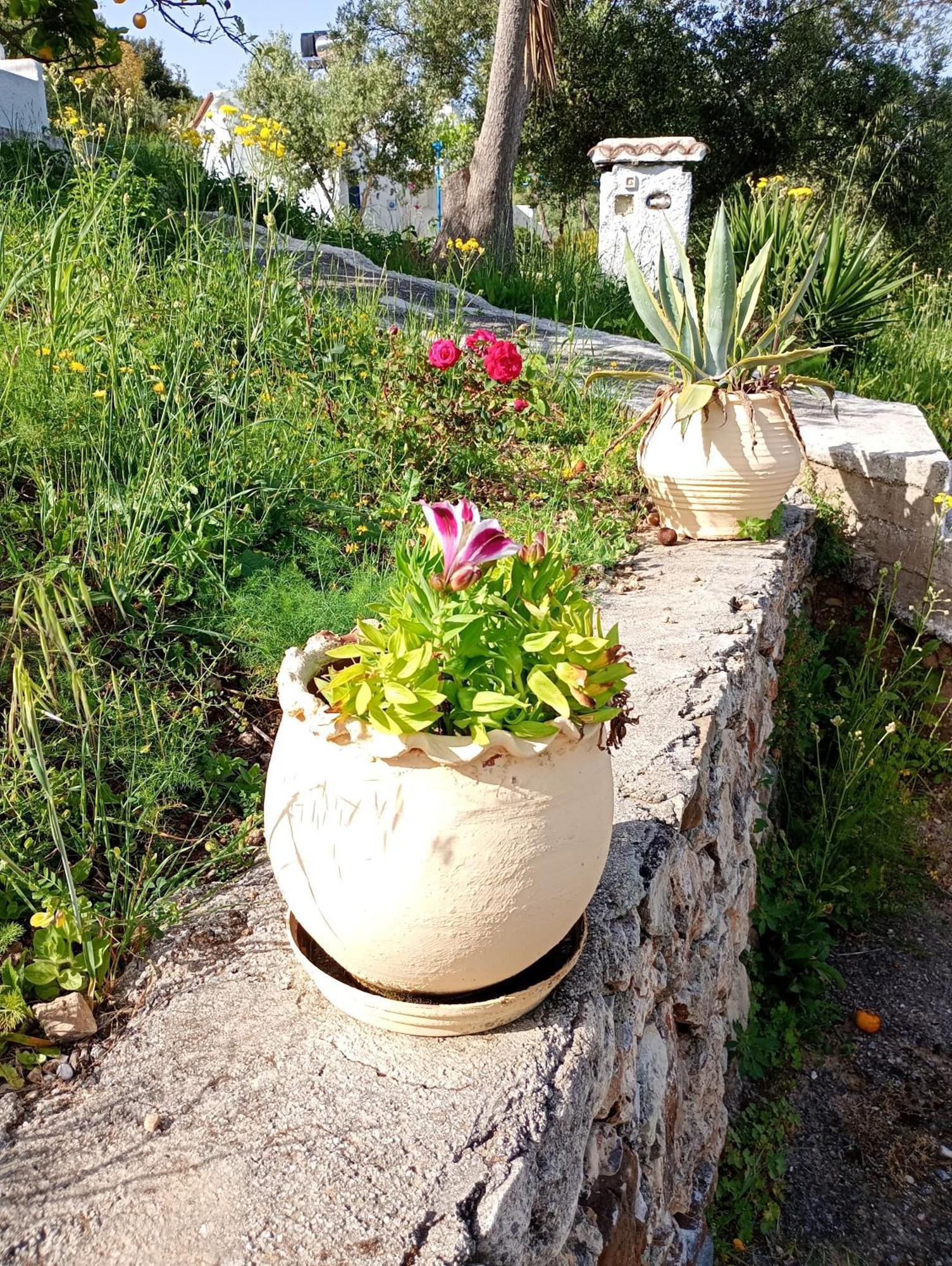 Stefanos Garden Apartment Armenoi  Room photo